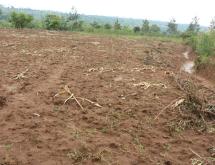 Residential Plot for sale in Bugesera near airport Hot deal Gashora - Image 1