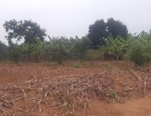  Residential Plot for sale in Nyarugenge Kigali  - Image 2