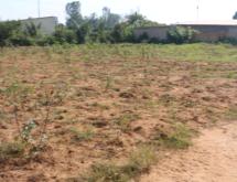 Land for sale in Bugesera near airport of Rwanda - Image 1