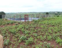Agriculture land for sale in Bugesera Gashora Rwanda access on water - Image 4