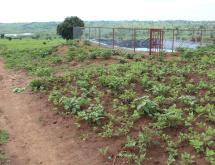 Agriculture land for sale in Bugesera Gashora Rwanda access on water - Image 5