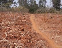 Residential Plot for sale in Bugesera near airport Hot deal Rilima - Image 3