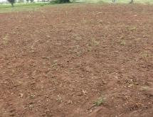 Land for sale in Bugesera near airport access on Lake - Image 4