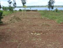 Land for sale in Bugesera near airport of Rwanda near the lake - Image 4