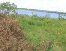 Land for sale in Bugesera near airport of Rwanda near the lake - Image 3