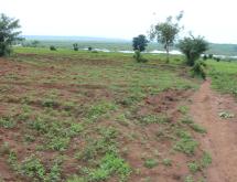 Agriculture land for sale in Bugesera Gashora Rwanda access on water - Image 1