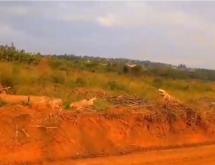 Residential Plots for sale in Rugende Kabuga - Image 3