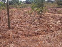 Residential Plot for sale in Bugesera near airport Hot deal - Image 1