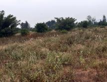 Land for sale in Bugesera Juru near airport of Rwanda hot deal - Image 1