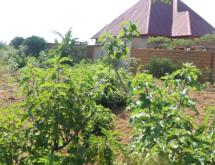 Residential Plot for sale in Bugesera Juru near airport Hot deal - Image 1