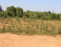 Plot for sale in Bugesera near airport Hot deal view of airport - Image 1