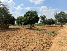 Strategically Located Land for Sale in Nyamata  - Image 1