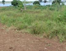 Land for sale in Bugesera Ririma near airport of Rwanda hot deal - Image 4