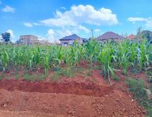A residential plot for sale in Gasogi-Kigali  - Image 1