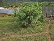 Kigali Rwanda plot for sale in Kagarama  - Image 2