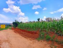 A residential plot for sale in Gasogi-Kigali  - Image 2