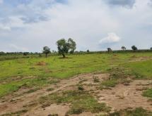 Karangazi Big Land For Sale in Nyagatare - Image 3