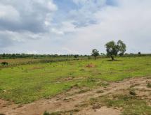 Karangazi Big Land For Sale in Nyagatare - Image 2
