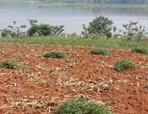Residential land for sale  near airport of Rwanda access on lake - Image 3