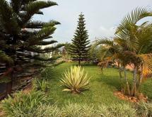 Kigali Modern house for sale in Nyamirambo  - Image 3