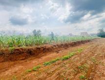 Rusororo near RPF plot for sale in Kigali - Image 4