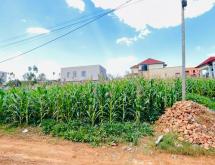 Rusororo near Riviera high school plot for sale in Kigali - Image 3