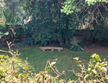 Kigali Semi furnished house available for rent in Kiyovu  - Image 5