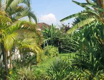 Kigali house available for rent in Nyarutarama - Image 4