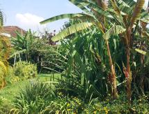 Kigali house available for rent in Nyarutarama - Image 5