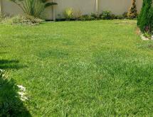 Kigali Furnished House for rent in Kiyovu  - Image 4