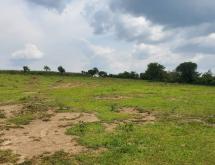 Karangazi Big Land For Sale in Nyagatare - Image 4