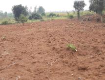 Industrial land for sale in Bugesera near airport of Rwanda  - Image 1