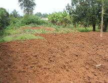 Residential plot for sale in Kigali Gasabo Bumbogo Hot deal - Image 2