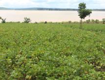 Land for sale in Bugesera Mwendo Rwanda Access on lake - Image 4