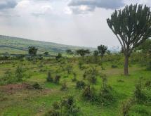 Land for Sale in Nyagatare, Karangazi - Image 4