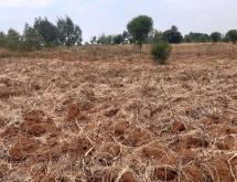 Land for sale in Bugesera RILIMA near airport of Rwanda hot deal access on lake - Image 4