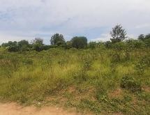 Residential plot for sale in Shyorongi near main road on top mountian - Image 3