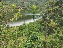 Hotel plot for sale in Muhazi lake  - Image 2