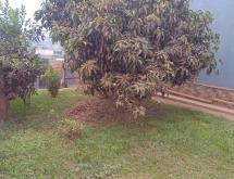 Kigali Land with an old house for sale in Gatenga, Kicukiro - Image 5