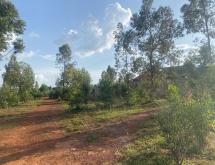 Plot for Sale in Nyamata Kanazi - Image 2