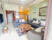 Remera near BK Arena furnished apartment for rent in Kigali  - Image 1