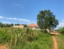 Residential Land For Sale in Kanzenze - Image 1