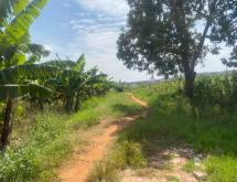 Residential Land For Sale in Kanzenze - Image 4