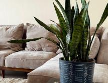 Kigali Fully furnished apartments for rent in Gacuriro  - Image 1