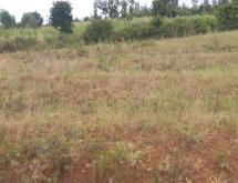 Hotel plot for sale in Muhazi lake is Ecotourism near Lake Gasabo Kigali Rwanda - Image 2