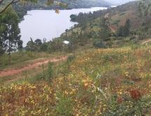 Hotel plot for sale in Muhazi lake is Ecotourism near Lake Gasabo Kigali Rwanda - Image 1