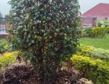 House for sale in Kicukiro Niboye  - Image 5