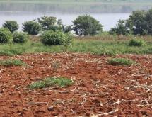 Bugesera Land for sale in Bugesera Rilima near Bugesera airport  with access on lake  - Image 1