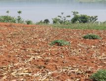 Bugesera Land for sale in Bugesera Rilima near Bugesera airport  with access on lake  - Image 2