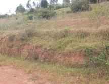 Hotel plot for sale in Muhazi lake is Ecotourism near Lake Gasabo Kigali Rwanda - Image 4